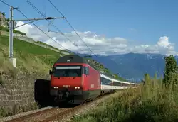 Re 460 042-5 con un IR especial Vevey - Lucerna en el viñedo de Chexbres.