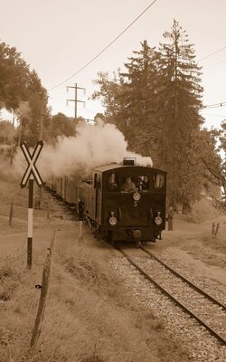 Dampflokzug nach Blonay über Cornaux.